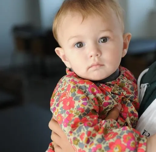 Grand De Castres 4* Кастр