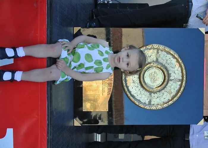 Hotel Grand De Castres (Tarn)